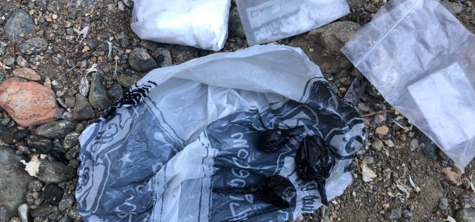 Five arrested near Weaver Creek on various charges