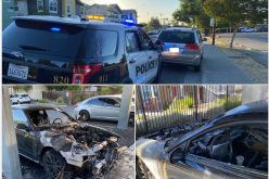 WHILE YOU WERE POSSIBLY STILL SLEEPING