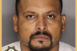 ARREST MADE IN HOMICIDE – ASSAULT WITH DEADLY WEAPON INVESTIGATION