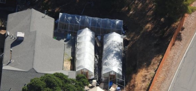 Calaveras County Sheriff’s Office Marijuana Team Recap July 7th thru July 15th 2021