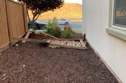 Man Leads Police on a 100 Mile Chase on Fourth of July before his Arrest