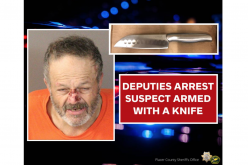 Placer County man arrested on suspicion of petty theft following confrontation with officers