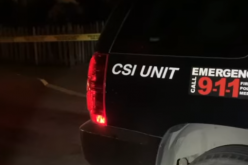 Attempted Homicide Arrest