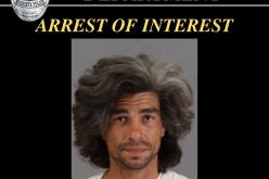 $1 million bail for persistent sexual assault offender