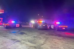 From Galt — WHILE YOU WERE SLEEPING…