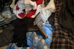 Man arrested for shooting two family members