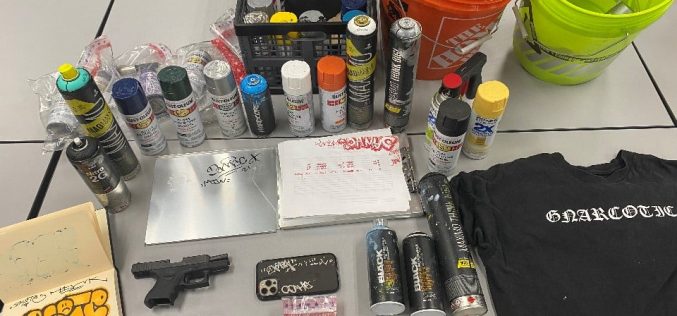 Grass Valley police seek whereabouts of second vandalism suspect