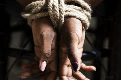 Five Arrested for Beating of Family Member