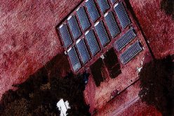 Man shot near illegal grow site in Covelo