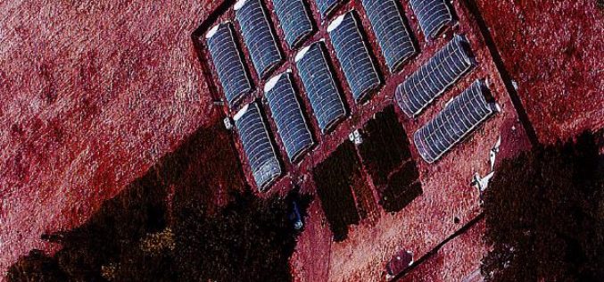 Man shot near illegal grow site in Covelo