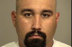 Six Pounds of Meth and Guns Seized in Arrest of Probationer