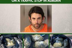 Impaired driver carrying three large bags of marijuana