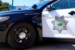 Possession of a Concealed Firearm Arrest