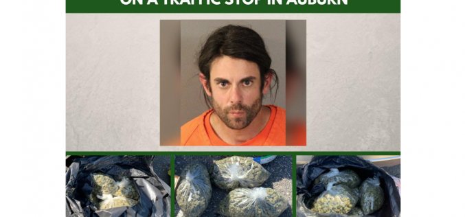 Deputies reportedly find bags of weed, cash, pill bottle during suspected-DUI traffic stop