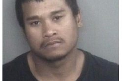 Felon Arrested For Auto Theft and Evading