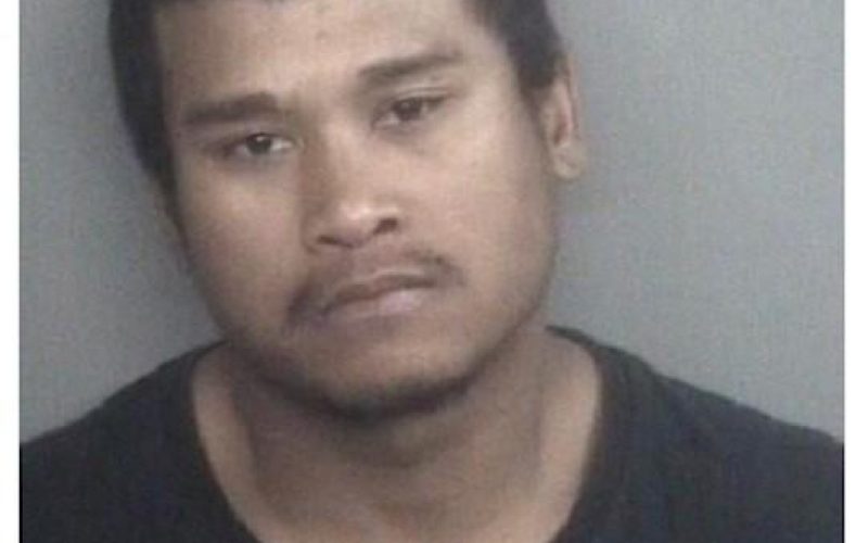 Felon Arrested For Auto Theft and Evading