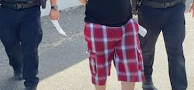 Pursuit in vehicle, on foot, ends with arrest