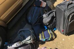 Auto Burglary Suspects Commit Another Burglary while Pursued by Police