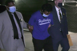 COPS NAB SUSPECT IN FATAL HIT-AND-RUN of ‘GONE GIRL’ ACTRESS LISA BANES