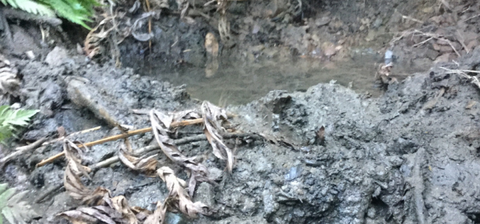 Marijuana Enforcement Team Watershed Protection Operation