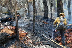 Woman admits to arson near Echo Summit