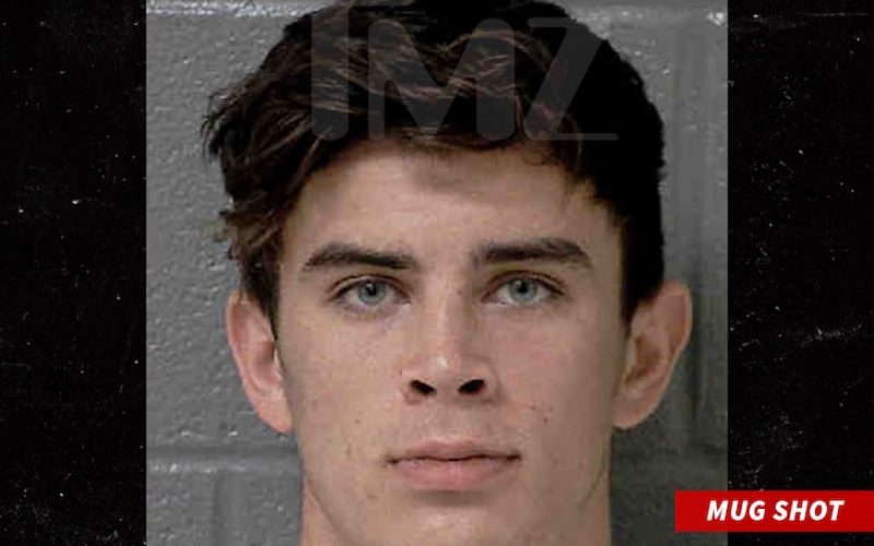 EX-VINE STAR HAYES GRIER INFLUENCER FRIEND HIT WITH 2 FELONIES… For Alleged Assault