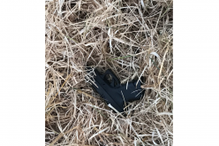 Santa Rosa Police: Two arrested after high-speed pursuit