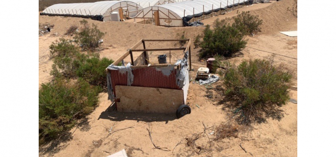 Kern County: Two arrested in connection to illegal cultivation of marijuana