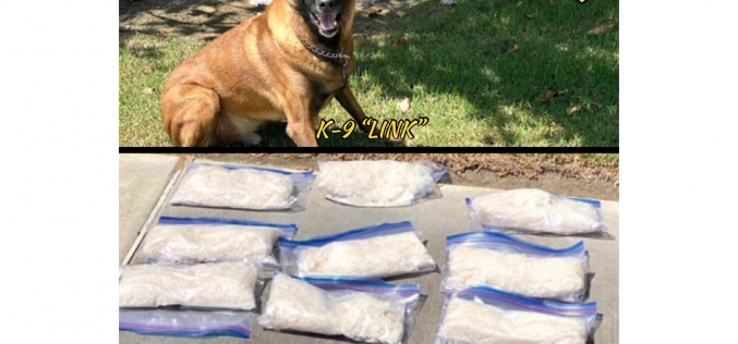 Riverside PD: K-9 Officer Link uncovers ten pounds of meth worth nearly $100K