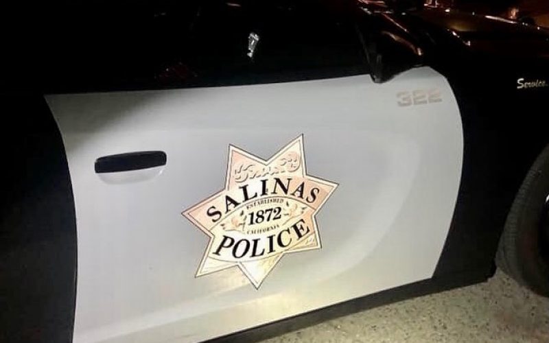 Possession of Stolen Vehicle, Evading Police Arrest