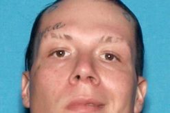 Man steals car with two dogs, gun inside