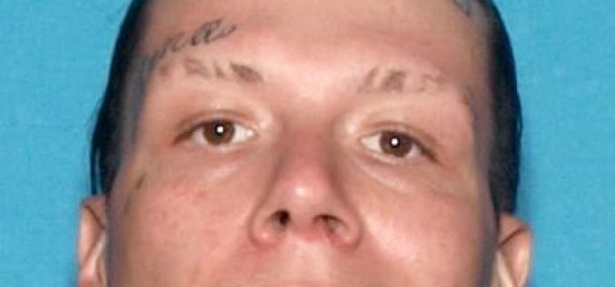 Man steals car with two dogs, gun inside