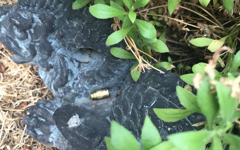 Arrest Made in Shooting Case