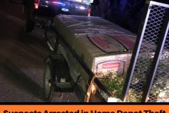 Pair of theives at Home Depot