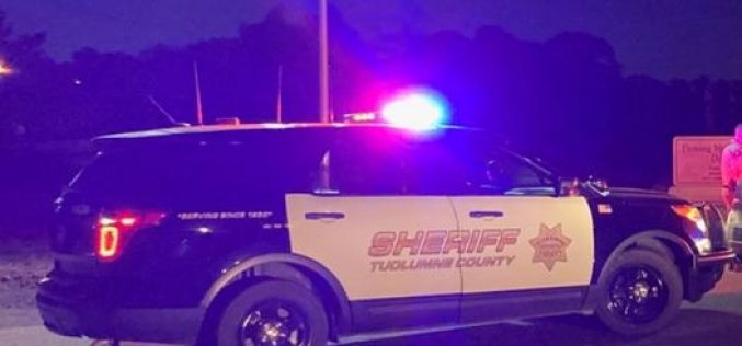 One arrested, one cited in traffic stop