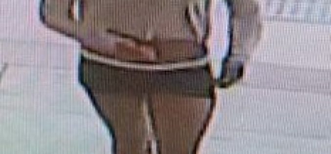 Woman Suspected of Going on a Crime Spree is Arrested in Danville