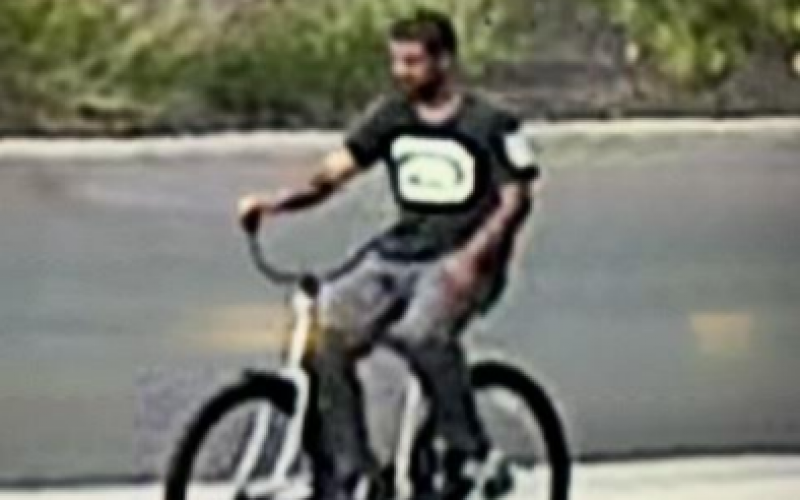 Bicyclist-assailant Busted