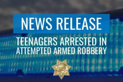 Three Teens Arrested for Attempted Armed Robbery at a Shopping Center