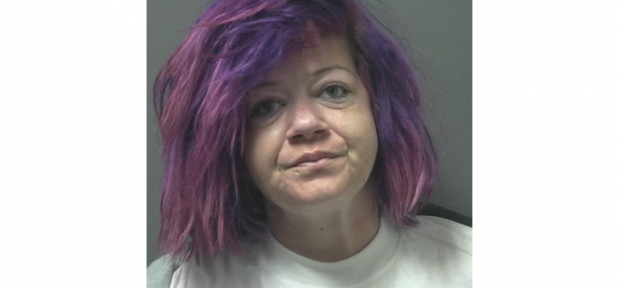 Sheriff’s Office: Kings County woman recklessly driving U-Haul becomes combative during arrest