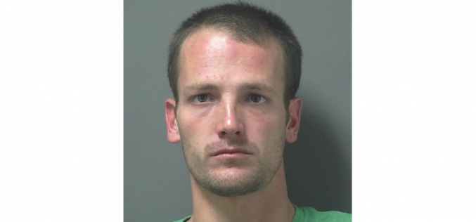 Kings County man accused of trying to carjack ex-girlfriend, fighting with K-9 deputy