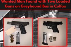 Man with warrants carries two stolen guns on Greyhound bus