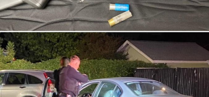 Angry DUI driver brandishes shotgun