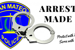 Arrest for Assault on Parking Enforcement Officer