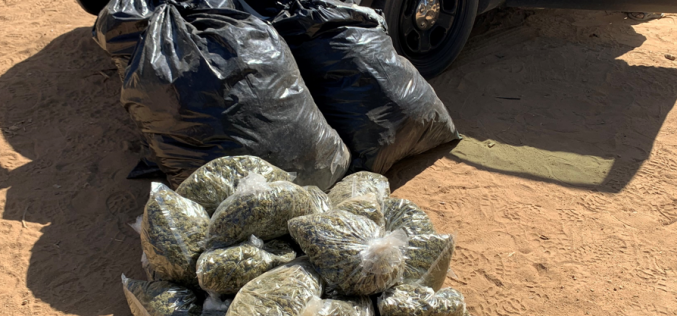 Several Suspects Arrested for Outdoor Marijuana Cultivations in Operation Hammer Strike’s Second Week