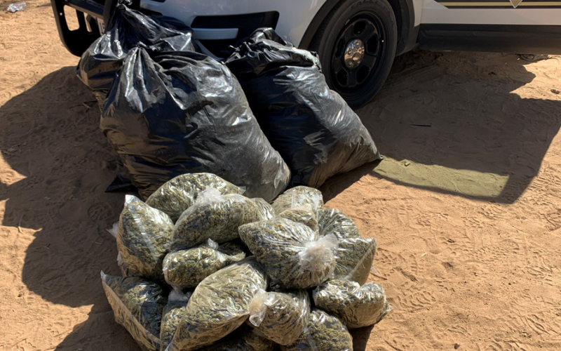 Several Suspects Arrested for Outdoor Marijuana Cultivations in Operation Hammer Strike’s Second Week