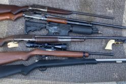 Assault with a Deadly Weapon, Criminal Threats, and Brandishing a Firearm