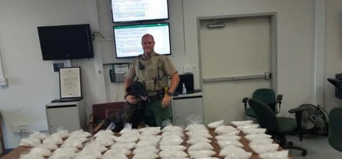 Good Dog! TCSO K9 Dozer Leads Deputies to 65 pounds of Meth