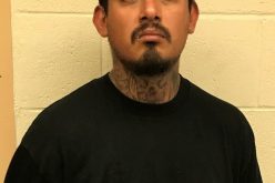 Assault with a Deadly Weapon & Robbery Arrest