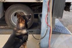 USBP Seizes Liquid Meth at Highway 86 Checkpoint