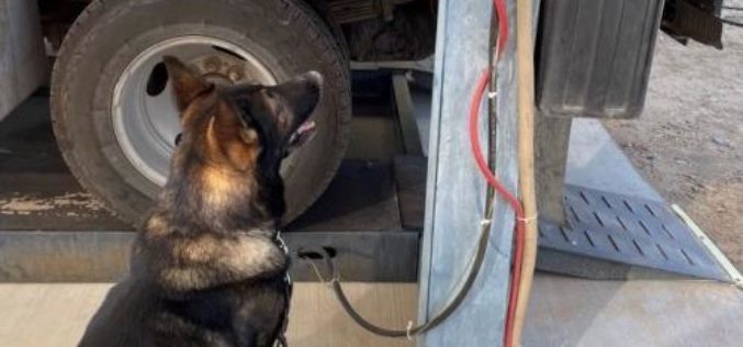K-9 Thwarts Smuggling Attempt – Alerts to Liquid-Meth Drip Under Truck